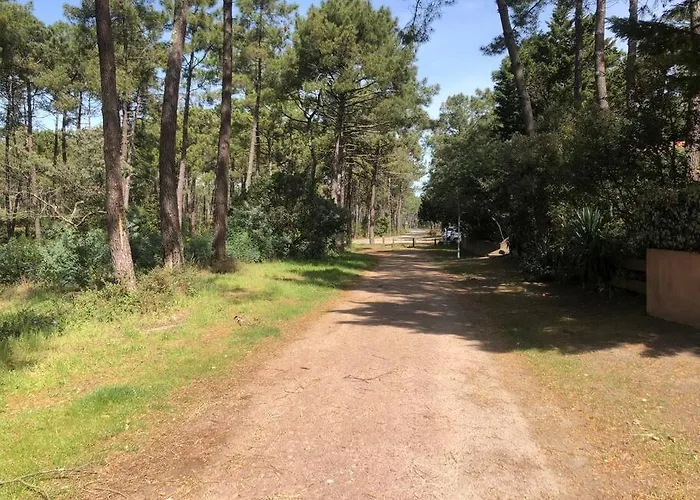 Holiday home Clade: Chaleureuse Et Agreable Maison De Lacanau