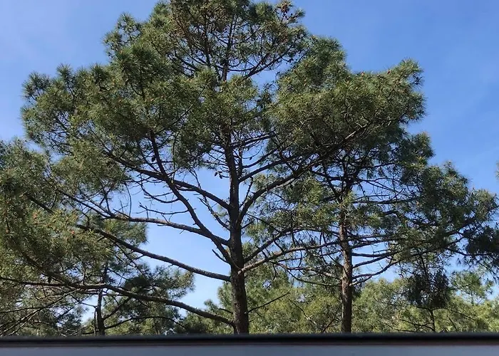 Clade: Chaleureuse Et Agreable Maison De Holiday home *