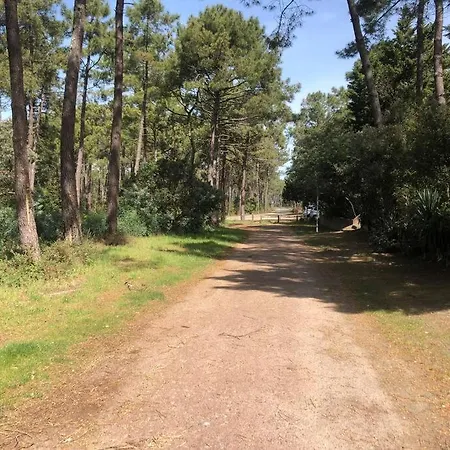 Tatil Evi Clade: Chaleureuse Et Agreable Maison De Lacanau
