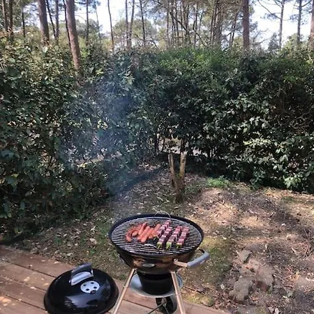 Clade: Chaleureuse Et Agreable Maison De Lacanau