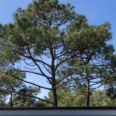 Clade: Chaleureuse Et Agreable Maison De Tatil Evi *