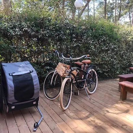 Clade: Chaleureuse Et Agreable Maison De Tatil Evi