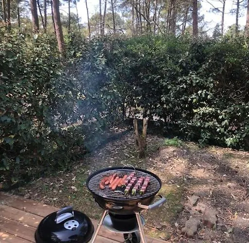 Clade: Chaleureuse Et Agreable Maison De Lacanau