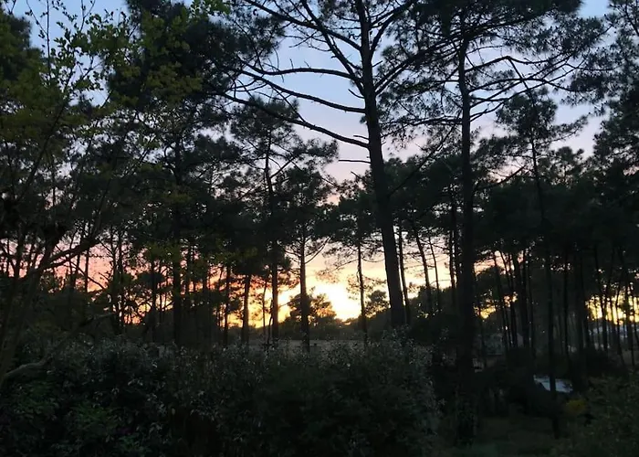 Vakantiehuis Clade: Chaleureuse Et Agreable Maison De