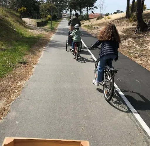 Clade: Chaleureuse Et Agreable Maison De Vakantiehuis *